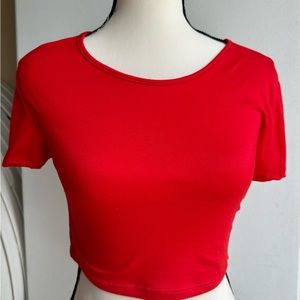 Faded Rose Crop Top